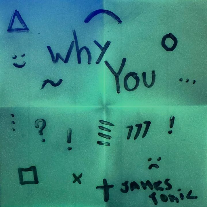 Why You cover art